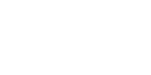 넥슨 logo